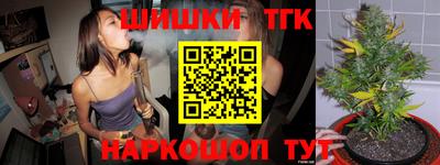 индика Балахна