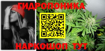 индика Балахна