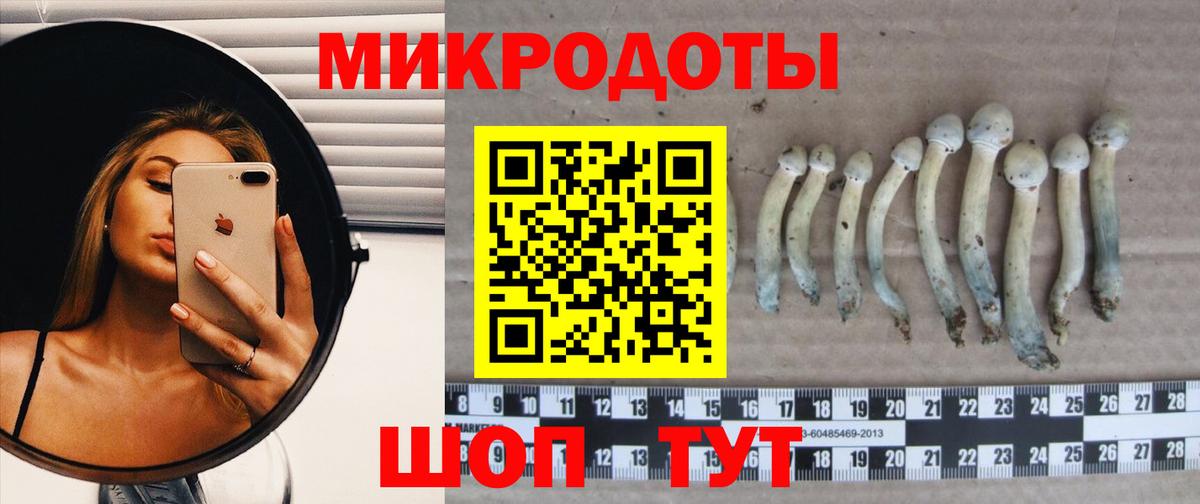 Галлюциногенные грибы мухоморы  Галлюциногенные грибы Magic Shrooms  Вход с VPN  Бузулук 